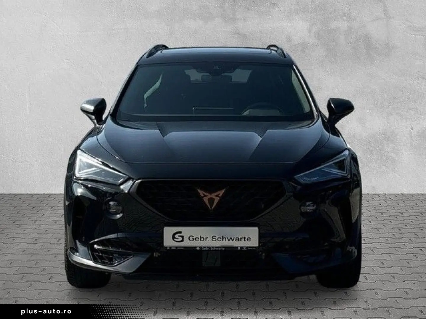 Formentor 2.0 TSI DSG VZ Tribe Edition AHK PANO