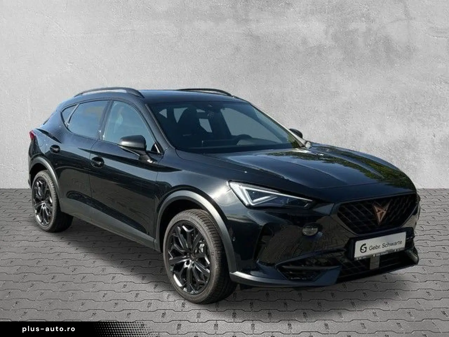 Formentor 2.0 TSI DSG VZ Tribe Edition AHK PANO