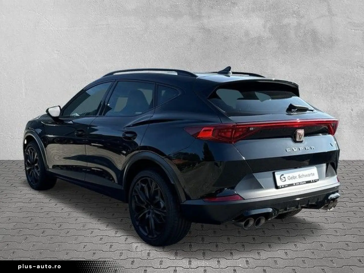 Formentor 2.0 TSI DSG VZ Tribe Edition AHK PANO