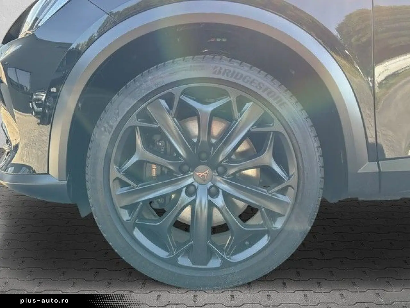 Formentor 2.0 TSI DSG VZ Tribe Edition AHK PANO