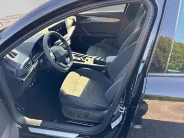 Formentor 2.0 TSI DSG VZ Tribe Edition AHK PANO