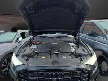 Audi Q8 55 TFSI e quattro tiptronic  S-line