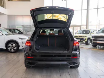 Audi Q8 55 TFSI e quattro tiptronic  S-line