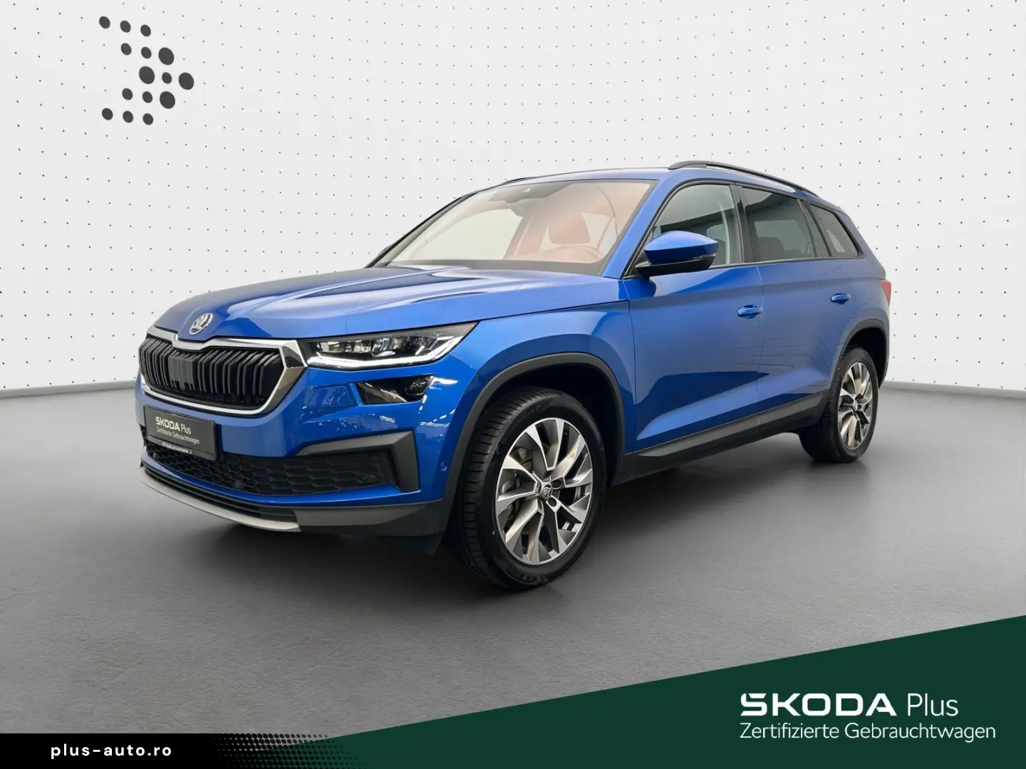 Kodiaq Ambition 2.0 TDI 4x4 NAVI AHK KAM STDHZG