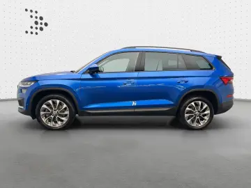 Kodiaq Ambition 2.0 TDI 4x4 NAVI AHK KAM STDHZG