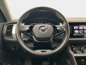 Kodiaq Ambition 2.0 TDI 4x4 NAVI AHK KAM STDHZG