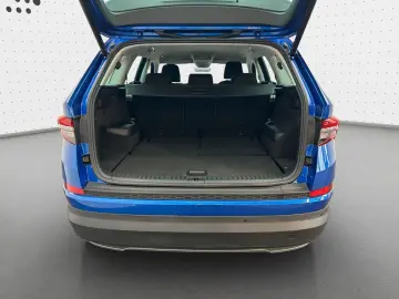 Kodiaq Ambition 2.0 TDI 4x4 NAVI AHK KAM STDHZG
