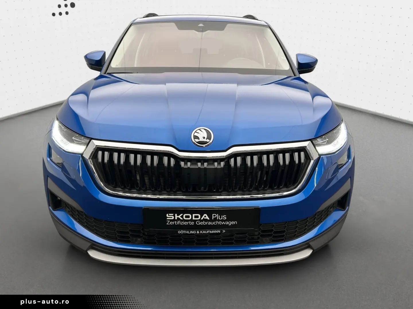 Kodiaq Ambition 2.0 TDI 4x4 NAVI AHK KAM STDHZG