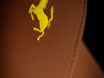 FERRARI Roma Garanti  Carbon-Paket  Exklusiv Mattgrün