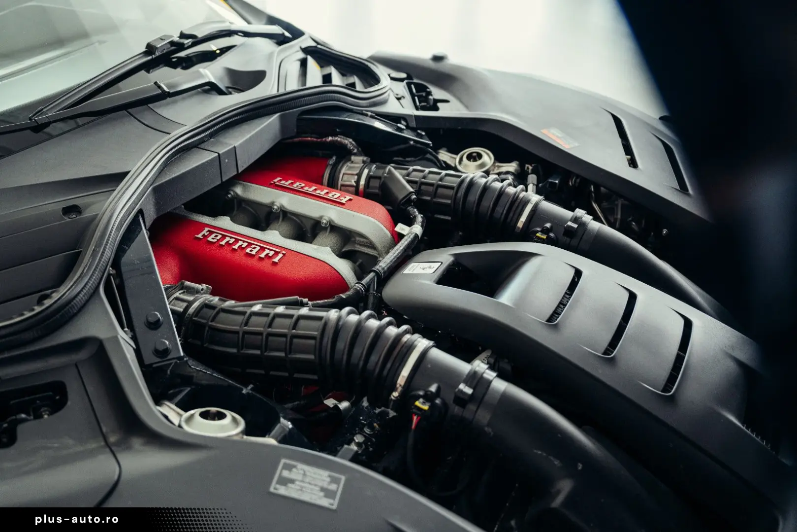 FERRARI Purosangue  Blu Pozzi  Carbon  MwSt.