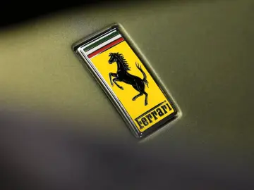 FERRARI Purosangue FullGreenCarbon NOVITEC Massage PPF