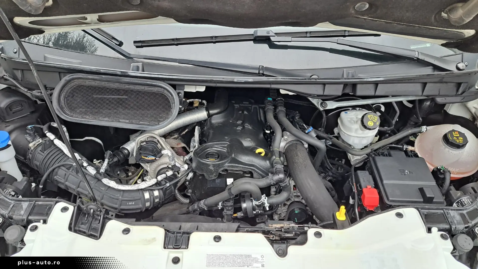 FORD TRANSIT D-CAB TREND L4 RWD