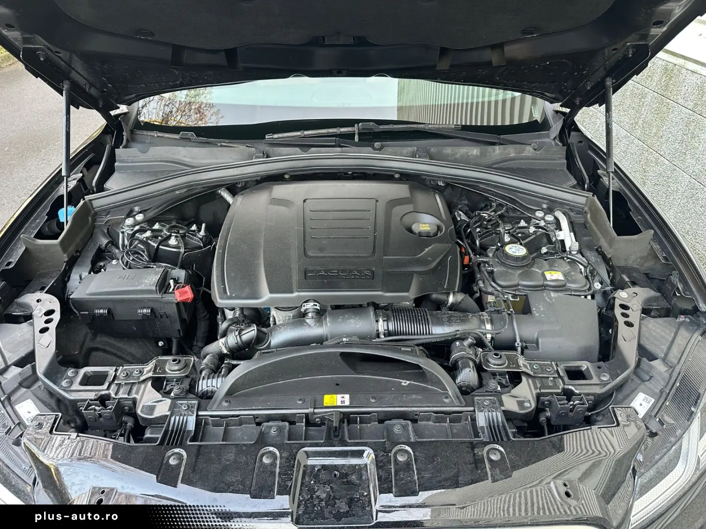 JAGUAR F-Pace P250 SE AWD