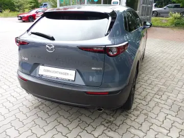 MAZDA CX-30 Homura Automatik 150 PS HUD Kamera Navi LE