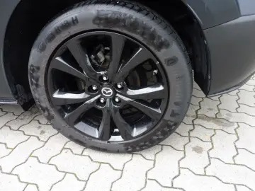 MAZDA CX-30 Homura Automatik 150 PS HUD Kamera Navi LE