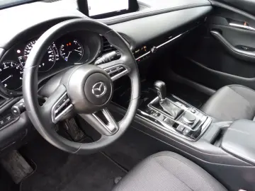 MAZDA CX-30 Homura Automatik 150 PS HUD Kamera Navi LE