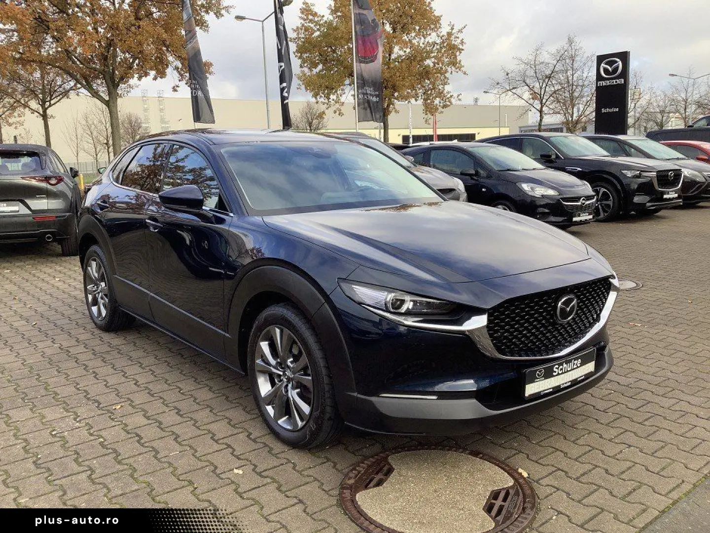 MAZDA CX-30 SKYACTIV-X Matrix-LED Bose 360  Kamera Sel