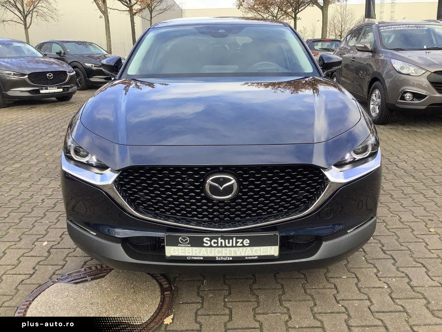 MAZDA CX-30 SKYACTIV-X Matrix-LED Bose 360  Kamera Sel