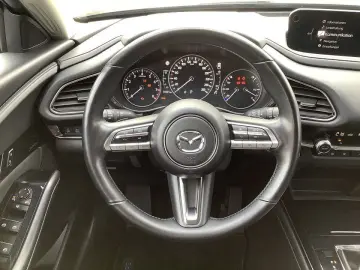 MAZDA CX-30 SKYACTIV-X Matrix-LED Bose 360  Kamera Sel