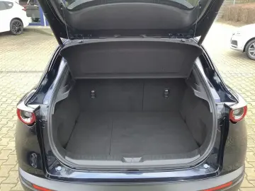 MAZDA CX-30 SKYACTIV-X Matrix-LED Bose 360  Kamera Sel