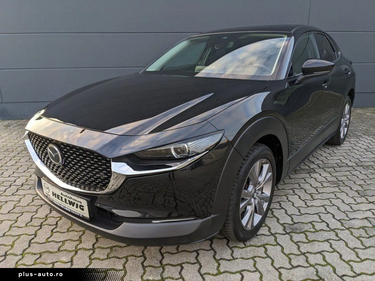 MAZDA CX-30 2.0l (150PS) Selection Design-Paket Matrix