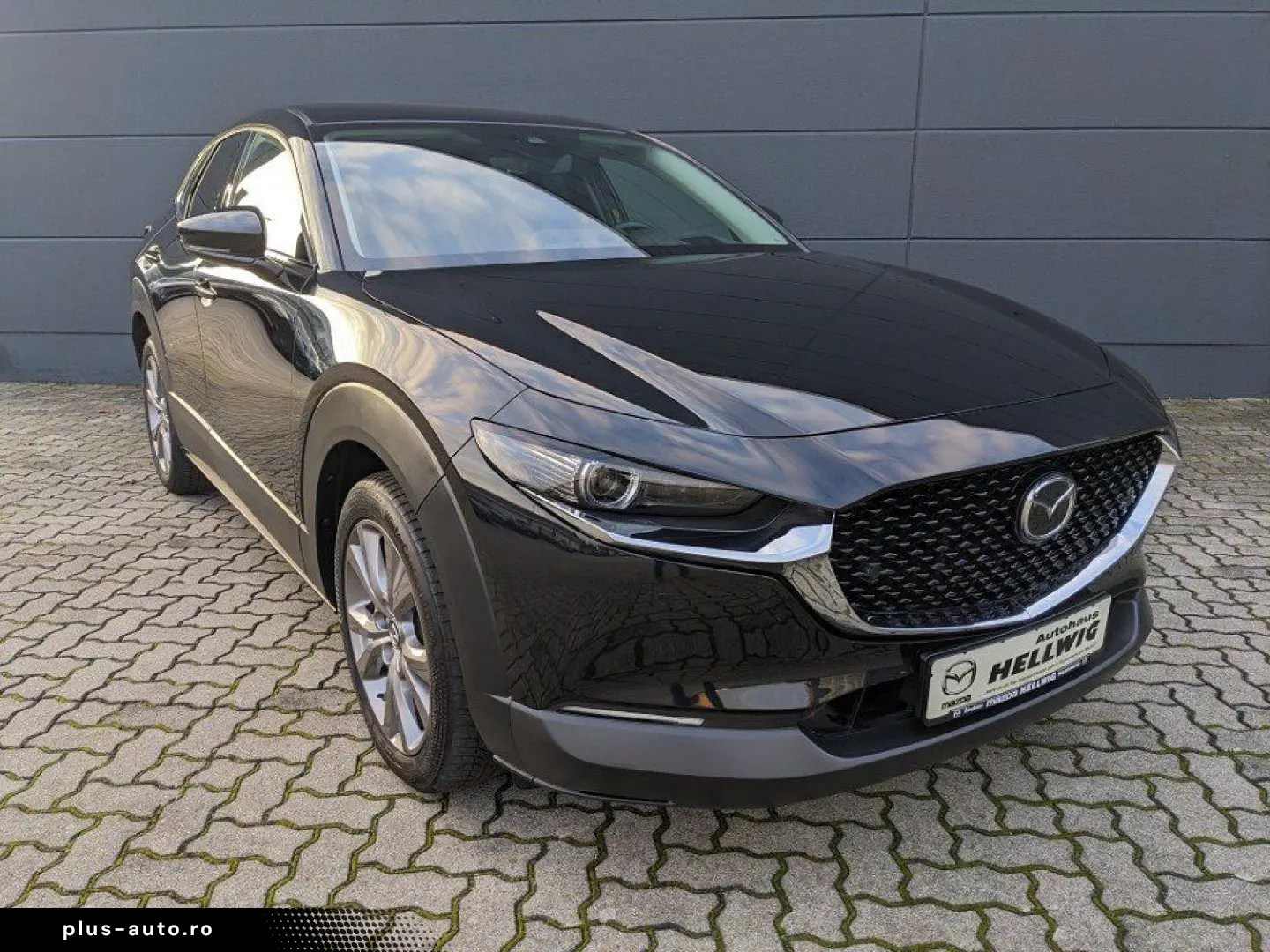 MAZDA CX-30 2.0l (150PS) Selection Design-Paket Matrix