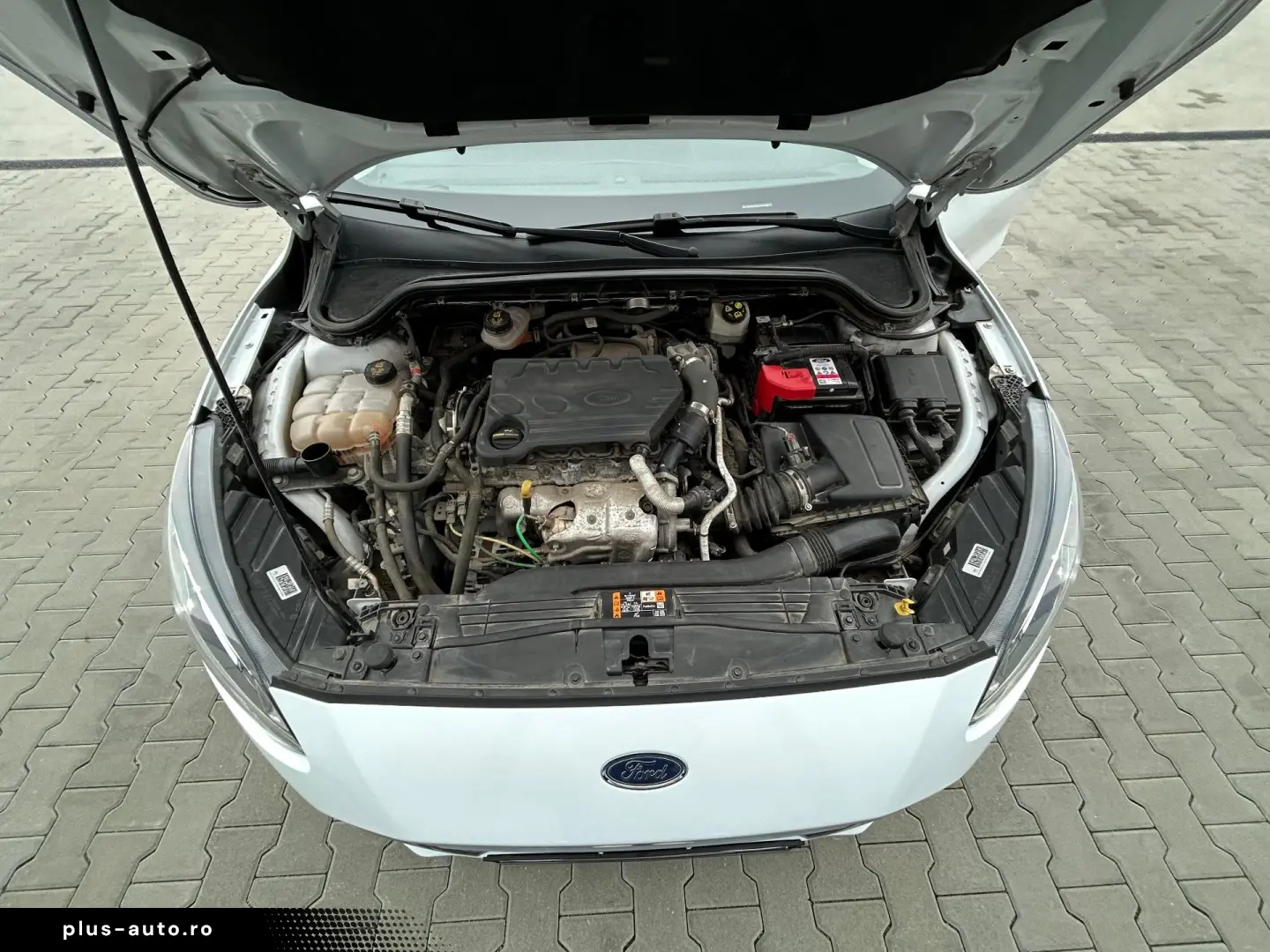 Ford Focus 1.5 EcoBlue Trend Edition 2021