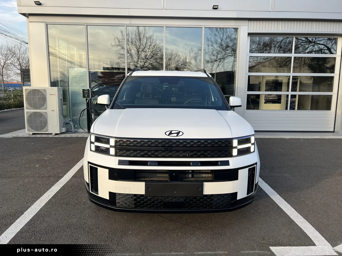 Plug-in 252 CP Calligraphy