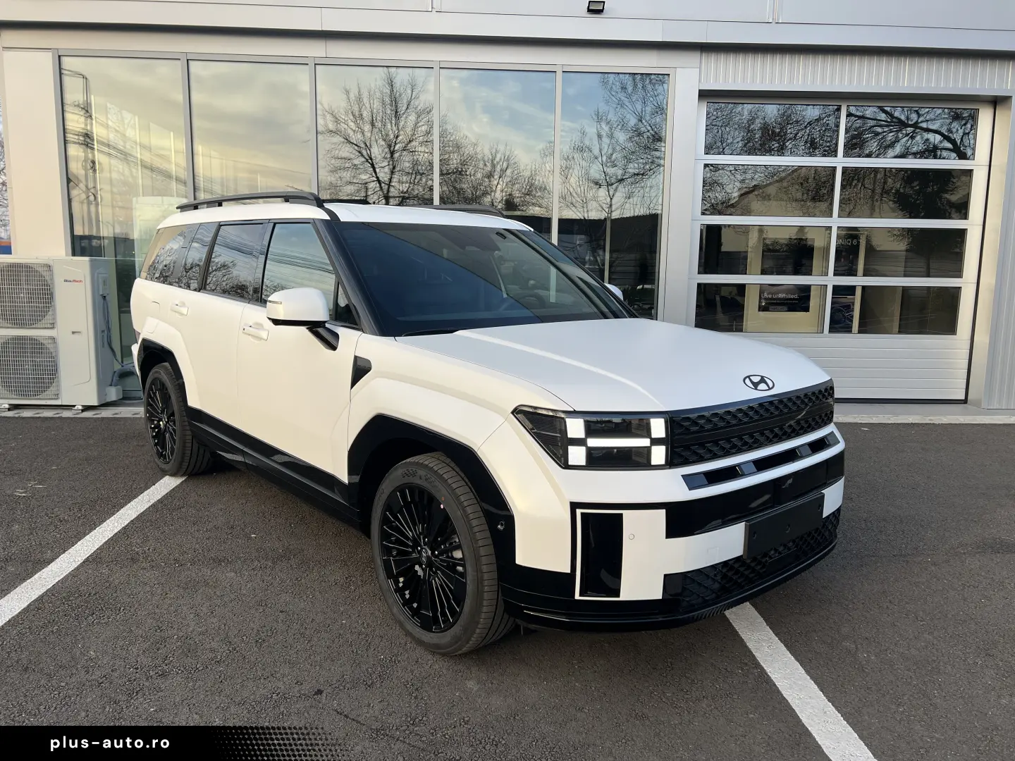 Plug-in 252 CP Calligraphy