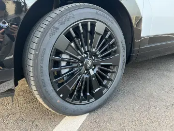 Plug-in 252 CP Calligraphy