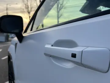 Plug-in 252 CP Calligraphy