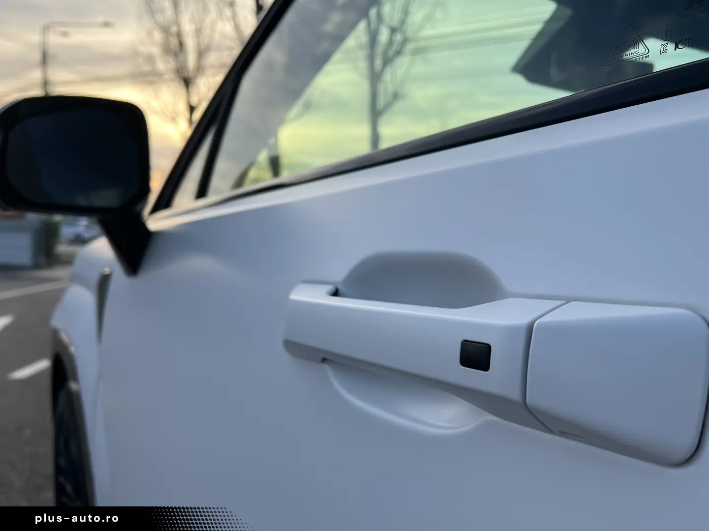 Plug-in 252 CP Calligraphy