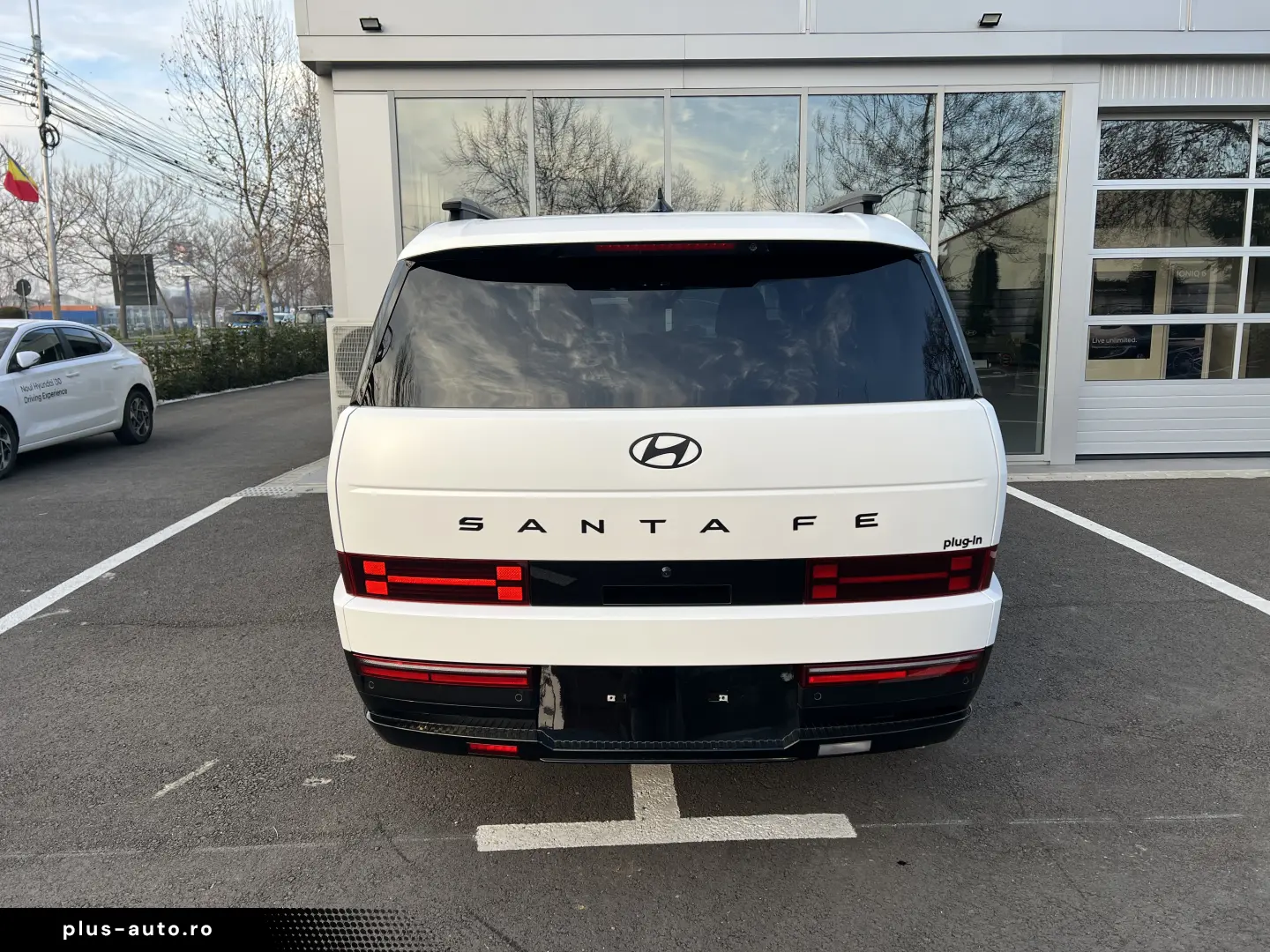 Plug-in 252 CP Calligraphy