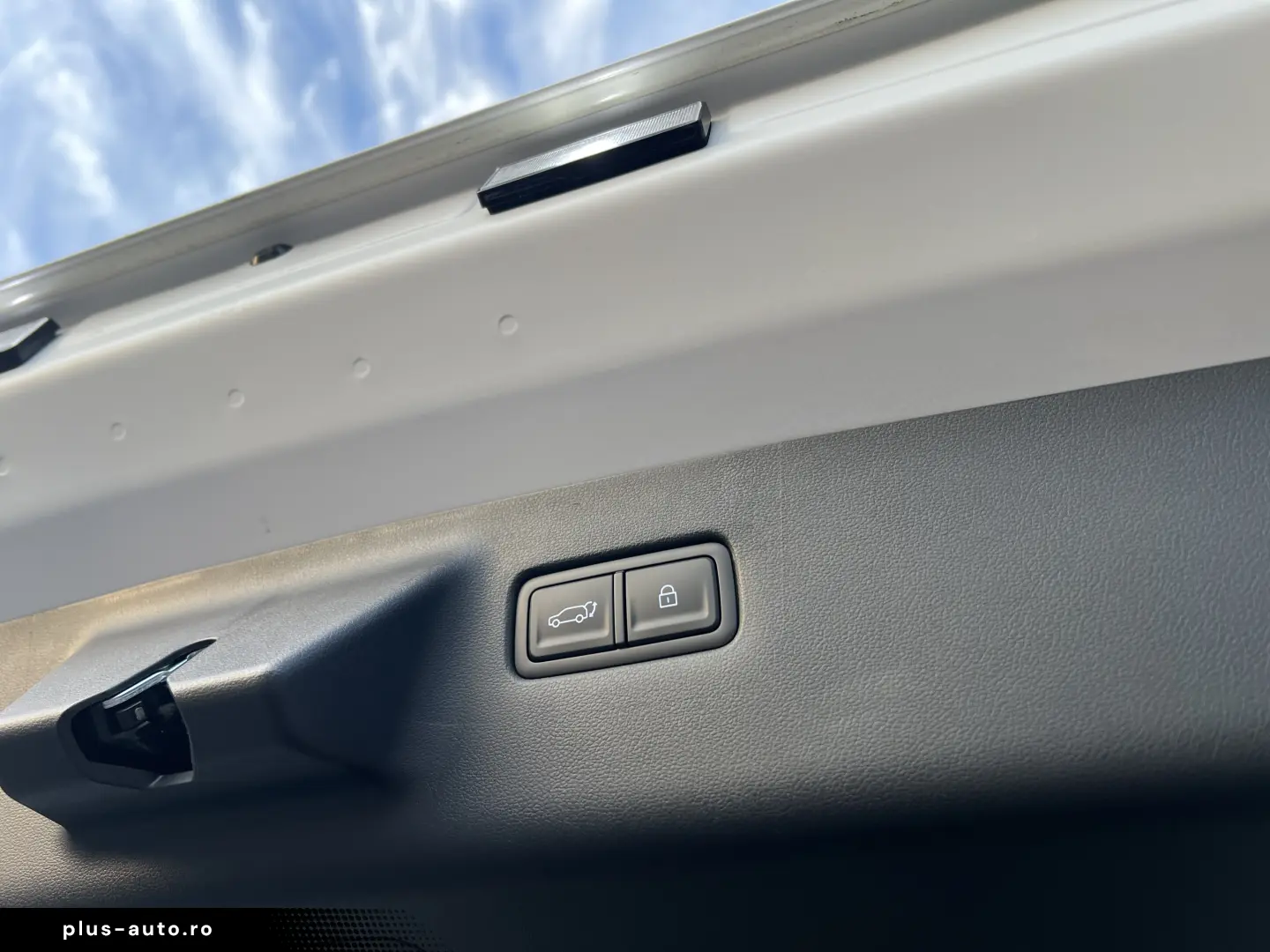 Plug-in 252 CP Calligraphy