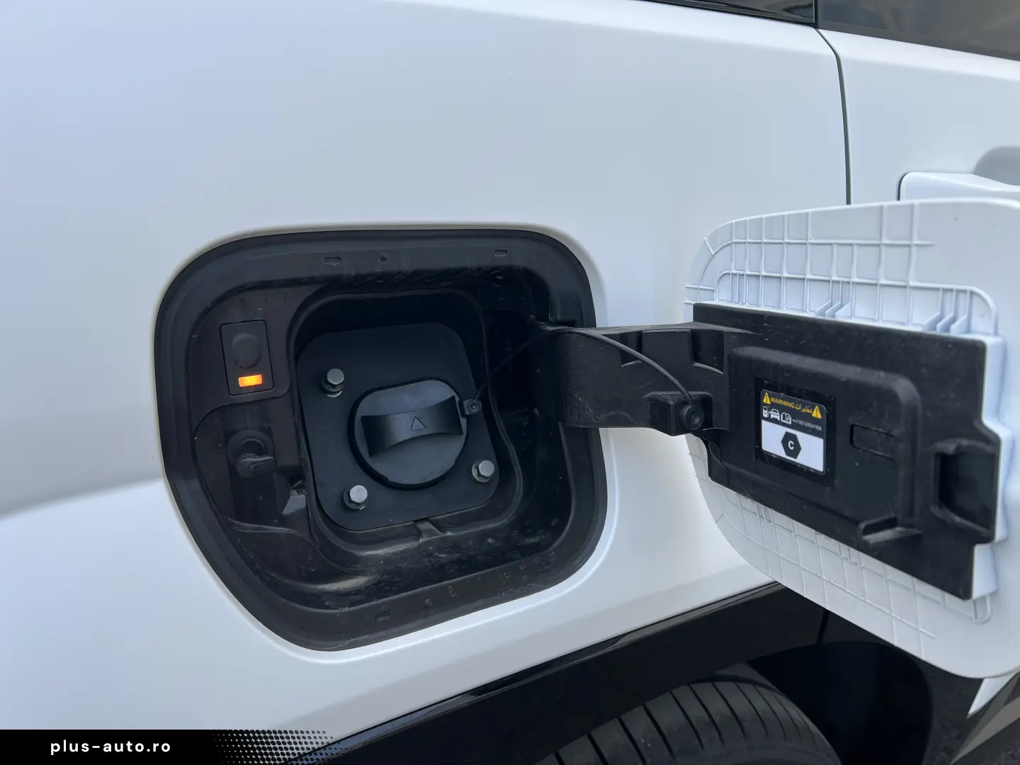 Plug-in 252 CP Calligraphy