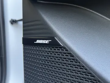 Plug-in 252 CP Calligraphy