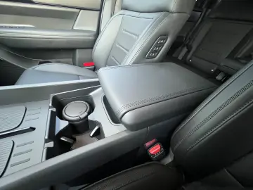 Plug-in 252 CP Calligraphy