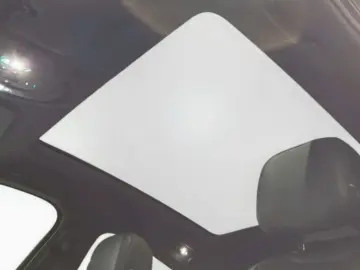 PORSCHE Coupe E-Hybrid AHK 21  BOSE PANO