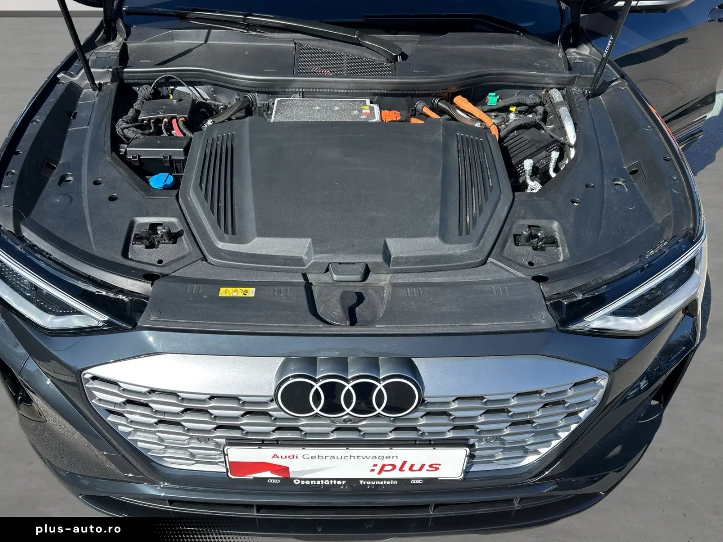 AUDI Q8 Sportback 55 e-tron advanced qu Matrix B&O Na