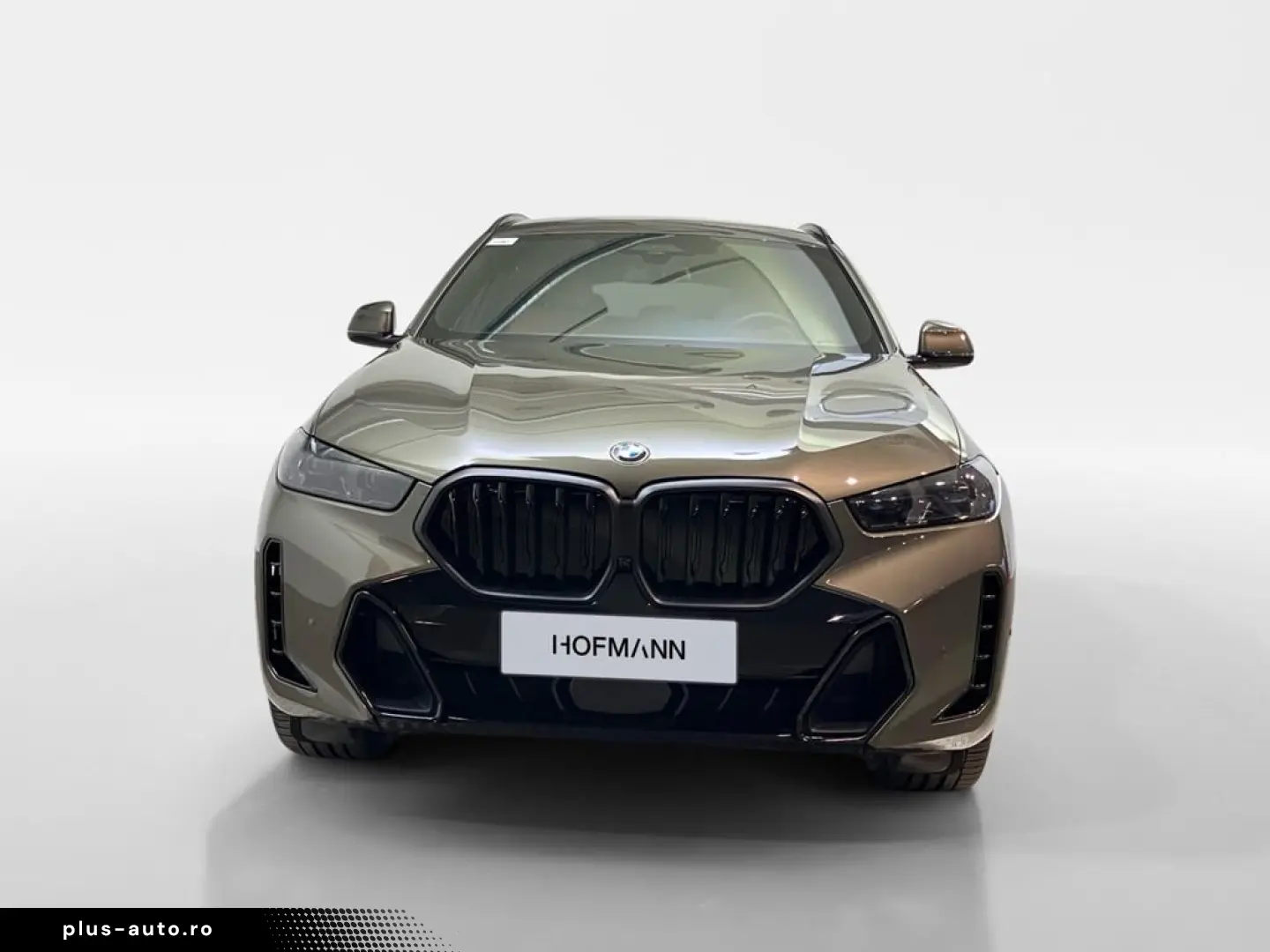 BMW X6 xDrive30d M Sport Pro AHK Inno ACC Standhzg