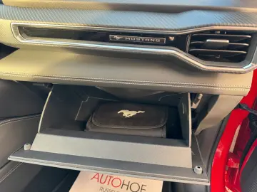 FORD Mustang Fastback 5.0 V8 Styling-Paket  VOLL