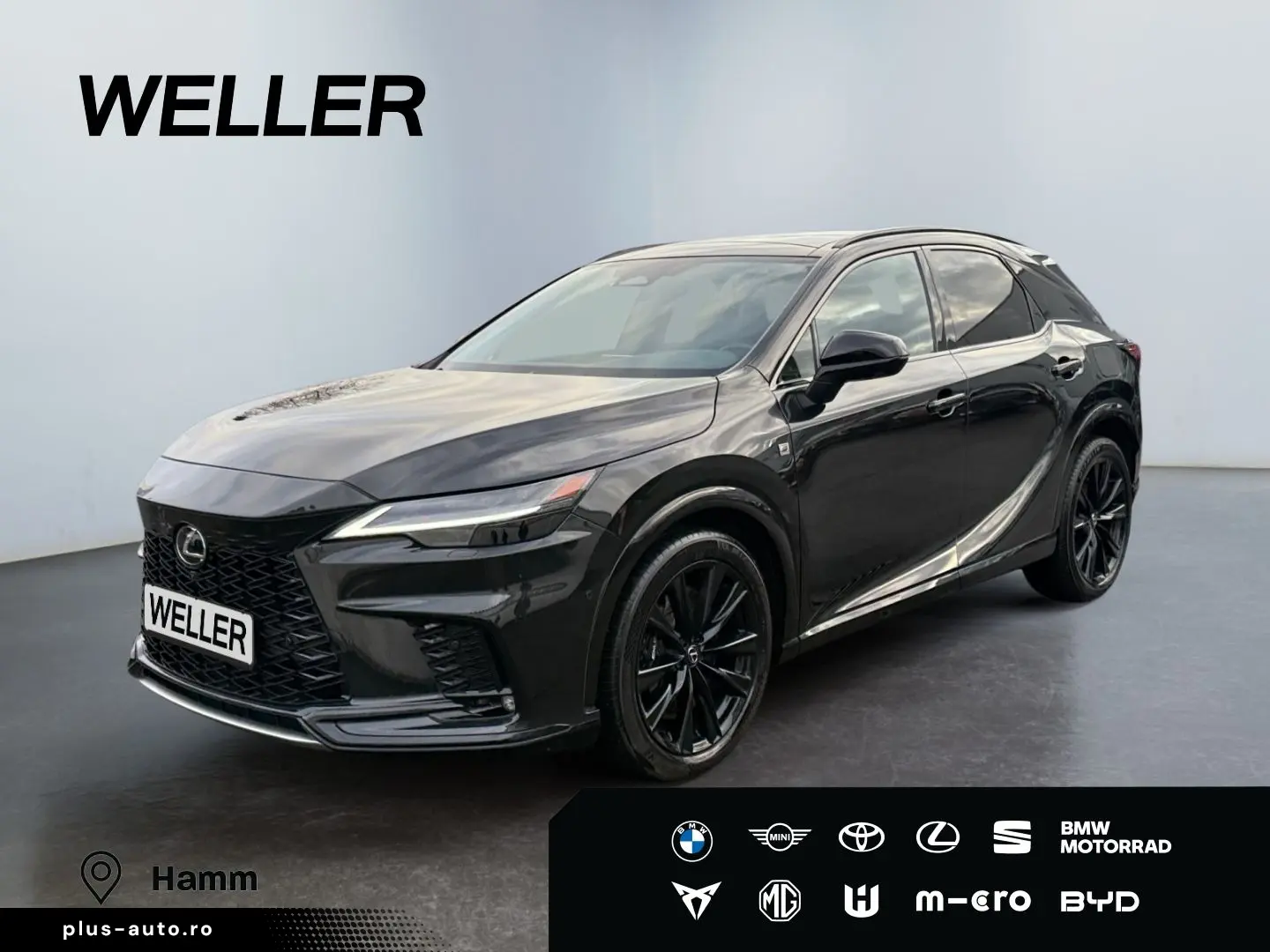 LEXUS RX 500h (hybrid) F SPORT   HUD Levinson Pano 360