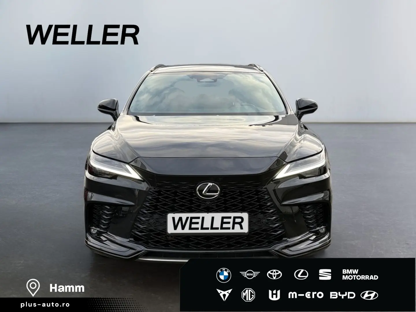 LEXUS RX 500h (hybrid) F SPORT   HUD Levinson Pano 360