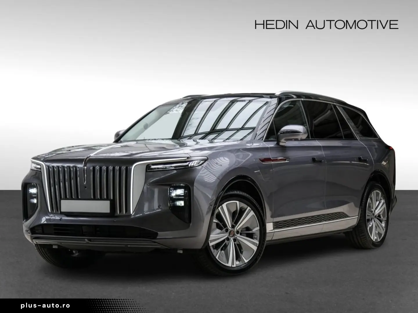 HONGQI HongQi E-HS9 Exclusive SHZ KAM LED PANO SHZ LM