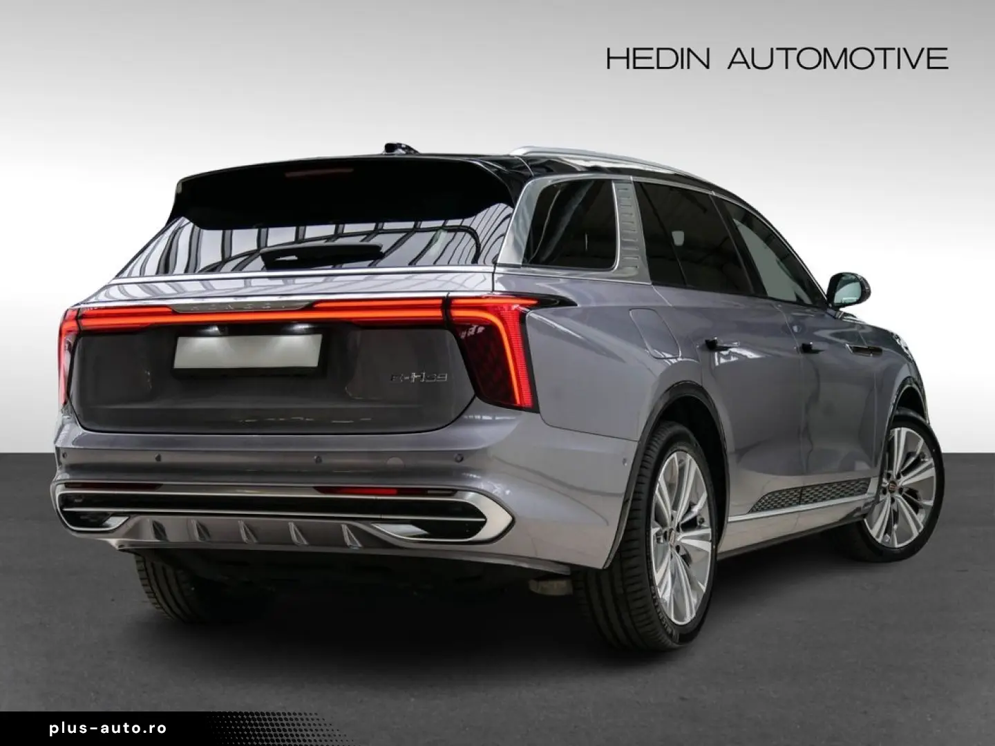 HONGQI HongQi E-HS9 Exclusive SHZ KAM LED PANO SHZ LM