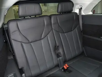 HONGQI HongQi E-HS9 Exclusive SHZ KAM LED PANO SHZ LM