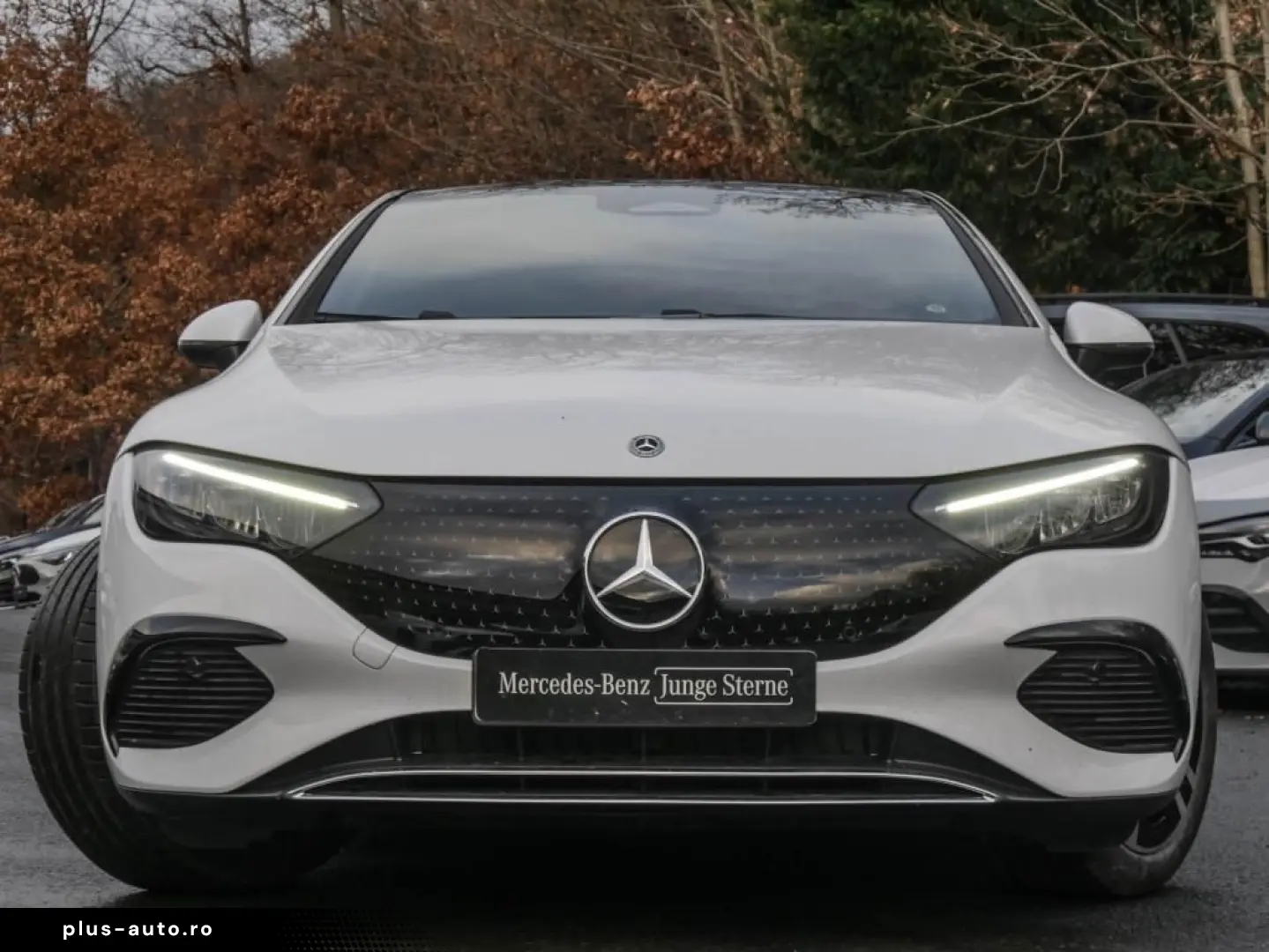 MERCEDES-BENZ EQE 300