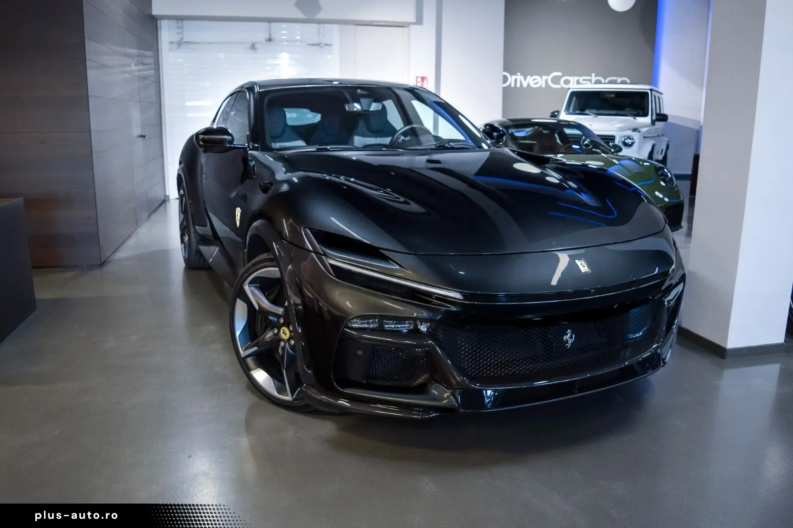 FERRARI PUROSANGUE - FULL CARBON