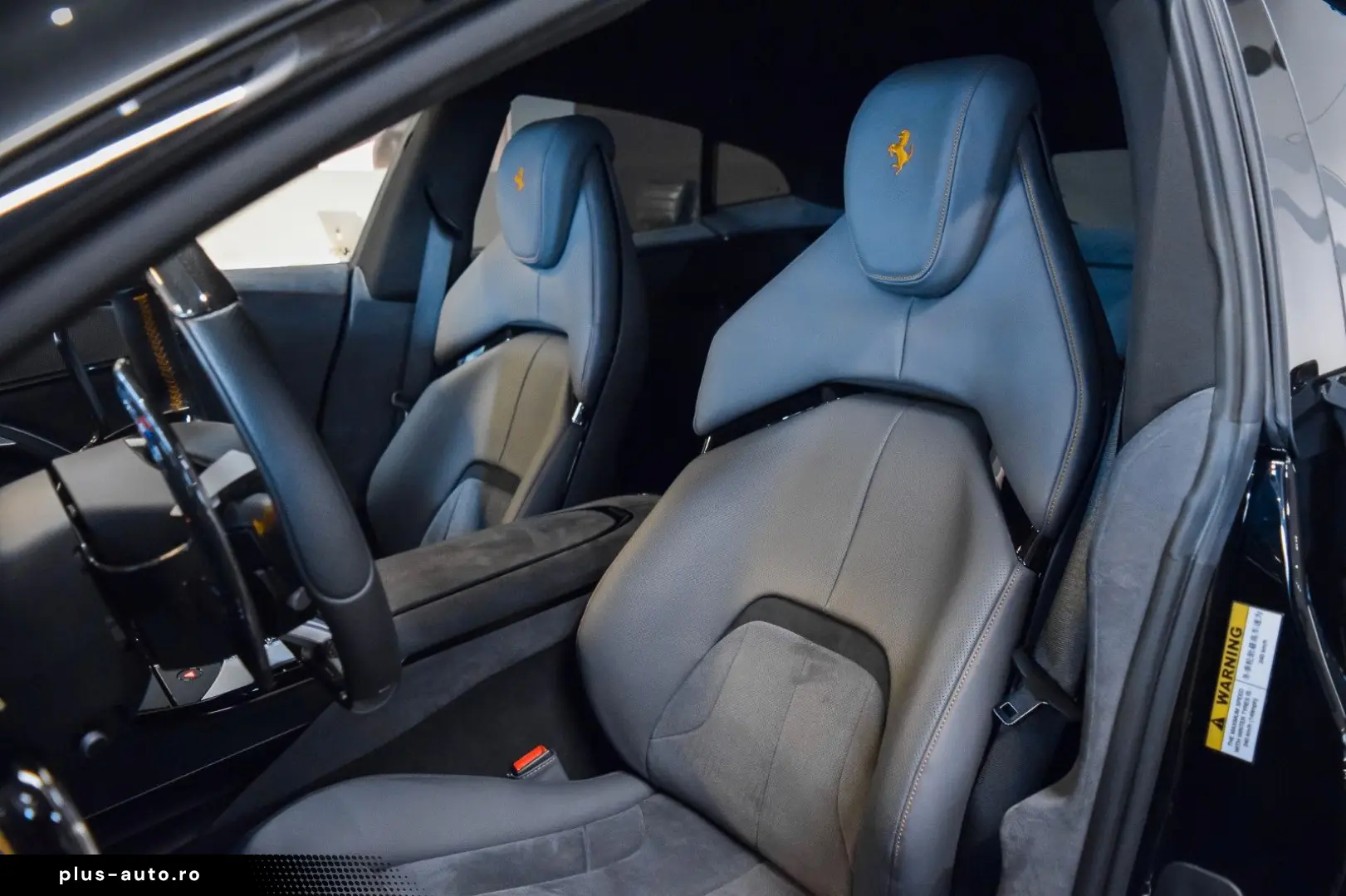 FERRARI PUROSANGUE - FULL CARBON