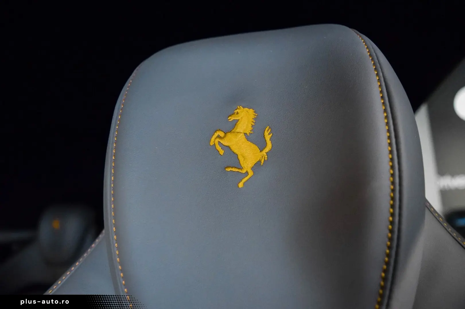 FERRARI PUROSANGUE - FULL CARBON